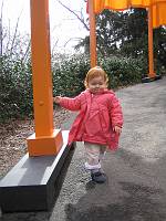  Christo and Jeanne-Claude's 