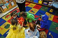  ProcServlet (params=[sc=0&pa=0.5&sa=0&ry=1062&rx=1600&cr=0.0,0.0,1.0,1.0&nocredit=1&py=1062&px=1600&r=0&q=0&cb=14869218&p=1&dsbg=221&ps=23&po=0&g=2.2&bw=0.2&f=0&si=00102773915720091030174120052.JPG&b=1&ph=60373&gc=1&vtype=g] actions=[CachedCanvas (RawOrProxyraw(RawReferences(00102773915720091030174120052.JPG), 1800) | FitToSize(java.awt.Dimension[width=1600,height=1062], 2) | ScaleRGB(1.085106372833252, 1.085106372833252, 1.085106372833252) | Sharpen(1.2999999523162842) | ShowPrint(java.awt.Dimension[width=1600,height=1062], 221, 1.0, 1.0, 1.0, 0, 0.800000011920929, 0.800000011920929, 0.800000011920929, 0) -> NativeCanvas(1756D650))] cache=null) 172.16.146.9 2009/10/30 15:07:43.028