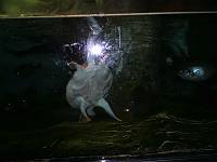  00dc    ���� JFIF   H H  �� S&Q Technology Co., LTD. V01