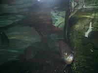  00dc    ���� JFIF   H H  �� S&Q Technology Co., LTD. V01