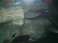  00dc    ���� JFIF   H H  �� S&Q Technology Co., LTD. V01