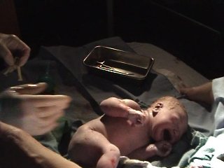 Right-click and choose "Save Target As..."