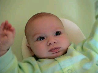 Right-click and choose "Save Target As..."