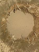  Roots, rocks, and clay.